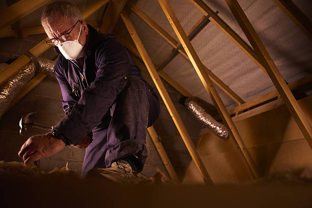 Best Specialty Insulation in Loretto, PA