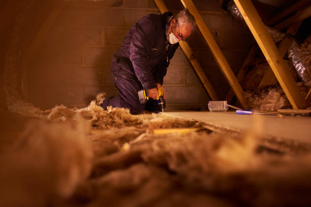 Best Insulation Maintenance and Repair in Loretto, PA